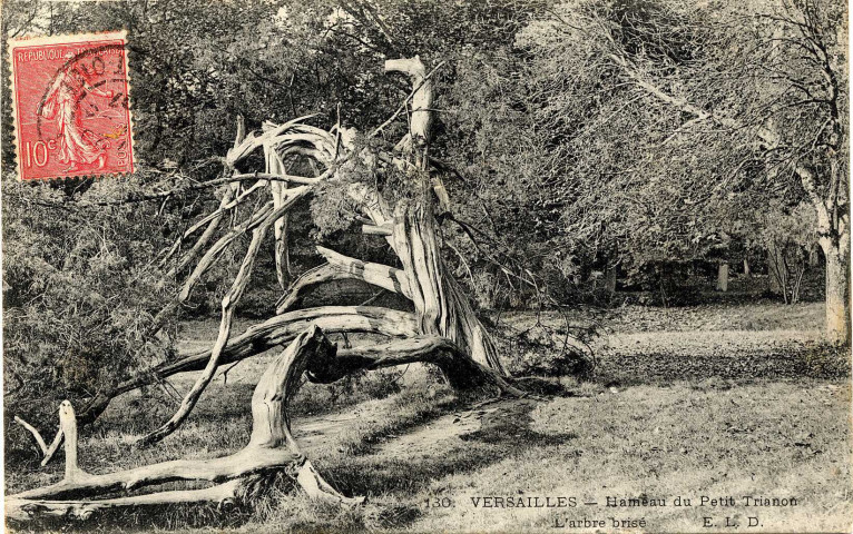 Versailles - Hameau du Petit Trianon. L'Arbre brisé. E.L.D.