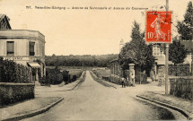 Versailles - Glatigny - Avenue de Normandie et Avenue du Commerce. Héliotypie A. Bourdier, Versailles