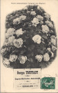 Georges Truffaut - Engrais Horticoles et Insecticides - 90 bis avenue de Paris - Versailles - Roses obtenues avec l'engrais (la Biogine). Hélio. A. Bourdier, Versailles