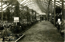 [Exposition d'horticulture : stand Moser et fils, Versailles].