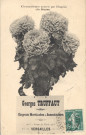 G.Truffaut - Engrais Horticoles et Insecticides - 90 bis avenue de Paris - Versailles - Chrysanthèmes nourris par l'engrais (la Biogine). Hélio. A. Bourdier, Versailles