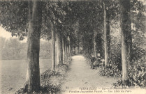 Versailles - Lycée de Jeunes Filles - Pavillon Jacqueline Pascal - Une allée du Parc.