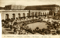 Versailles.- L'Orangerie, le château.