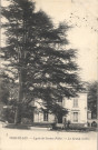 Versailles - Lycée de Jeunes Filles - Le Grand Cèdre.