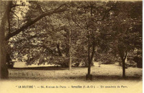 La Solitude. 64 avenue de Paris. Versailles (S.et O.). Un sous-bois du parc.VersaillesF. David, photo