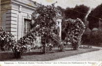 Versailles - Pylônes de rosiers "Dorothy Perkins" dans la roseraie des Établissements G. Truffaut.